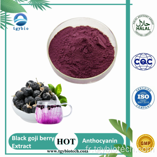 Extrait de Wolfberry noire naturel pur anthocyanidine 5% -25%